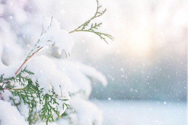 Protect Christians at all Cost this Christmas