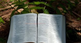 IS THE CHURCH THEIR TARGET?