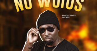 DOWNLOAD MP3: KING LION - NO WORDS