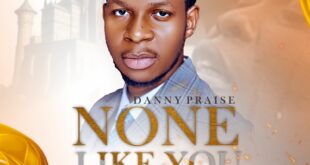 MUSIC: DANNY PRAISE - NONE LIKE YOU