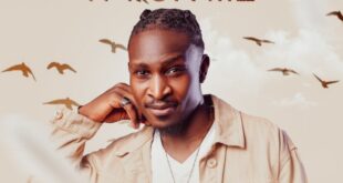 Done It For Me by Evrard SIA