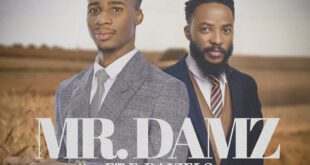 Music: Mr Damz - Lawepa (Endurance) Ft E Daniels