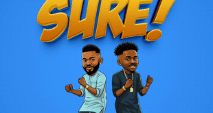 NEW MUSIC: SURE - DANZOR FT HYDEE ANIE