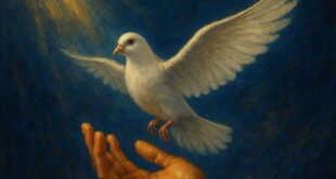 Grace by Toyin Ogunniyi